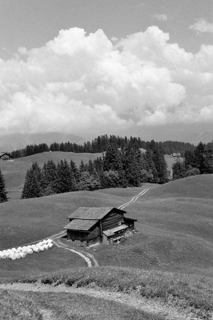 Bild017_Neg.Nr.16A 2